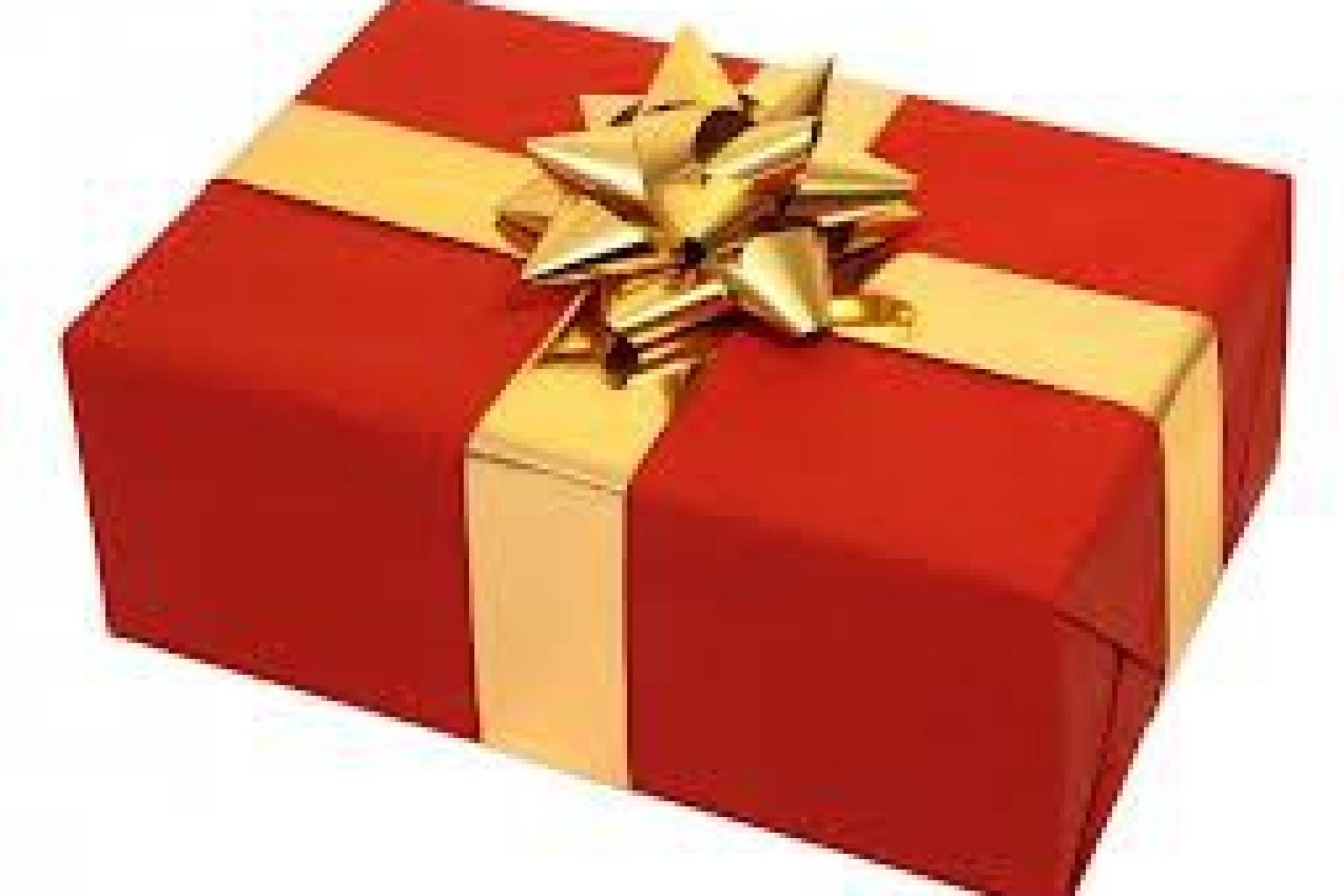 20130312-opbrengst-afleveren-kerstpakketten-81